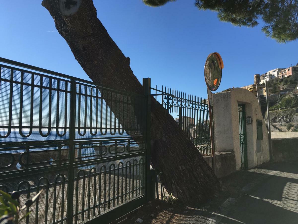 Villa Petit Ludovica Ravello Bagian luar foto